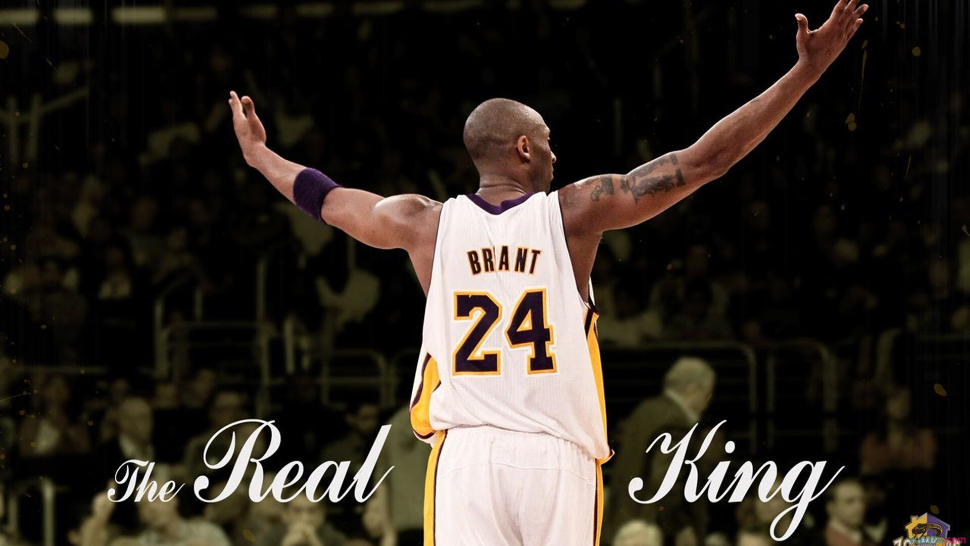 当华南虎遇上雷霆，字母哥的统治力如何跨越篮球世界的次元壁？